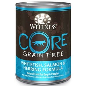 Wellness CORE Grain-Free Wet Dog Food