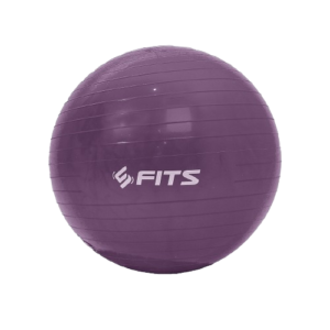 Fits_SFIDN_FITS_Gym_Yoga_Ball-removebg-preview