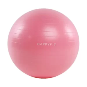 Happyfit Anti Burst Gym Ball 65 cm