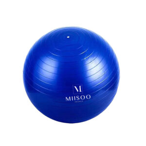 Miisoo Gym Ball